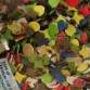 FUNFRANCE - Articles de fête et produits Hi-Tech : Sachet de confettis multicolore 110g - 0.716667€ - Les confettis en papier mu