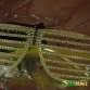 FUNFRANCE - Articles de fête et produits Hi-Tech : Lunettes strass à barreau - 2.041667€ - Lunettes plastique avec barreaux de c