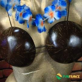 Soutient gorges noix de coco