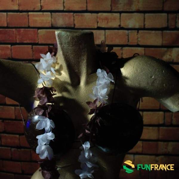 FUNFRANCE - Articles de fête et produits Hi-Tech : Collier fleurs Hawaï Marron et blanc 6cm - 0.98€ - Collier de fleurs Tahiti e